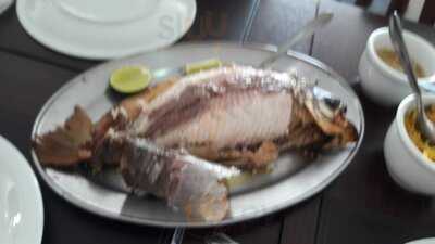 Ribeirinho Peixes Da Amazonia