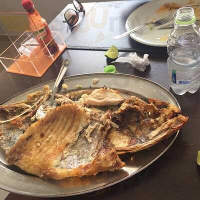 Ribeirinho Peixes Da Amazonia