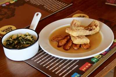 Fish Maria Amazônia