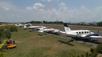 Fish Maria Amazônia