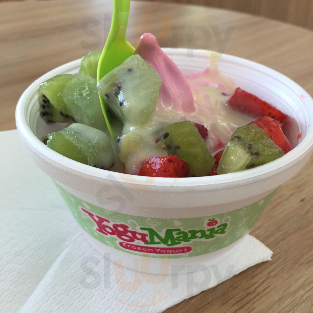 Yogo Mania