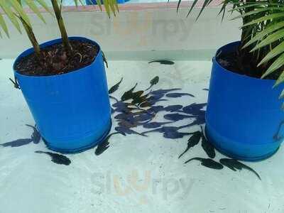 Retaurante E Choperia Pe De Pano