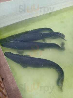 Retaurante E Choperia Pe De Pano