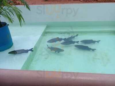 Retaurante E Choperia Pe De Pano