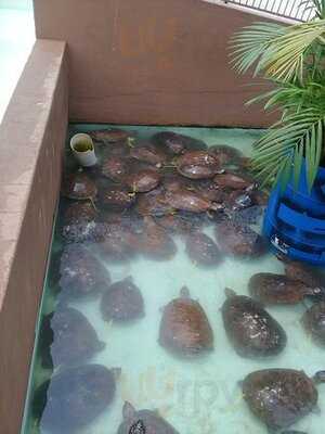 Retaurante E Choperia Pe De Pano