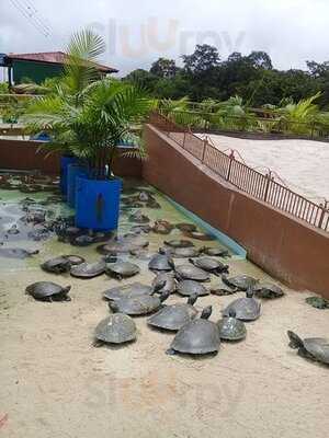 Retaurante E Choperia Pe De Pano