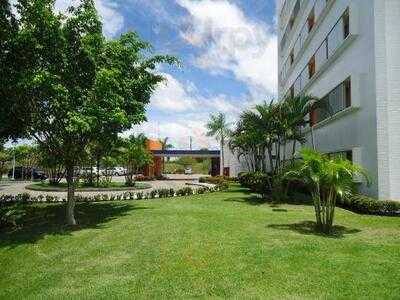 Ibis Manaus