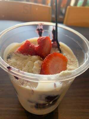 Açaizeiro Vieralves