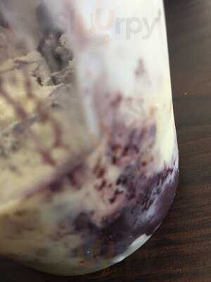 Açaizeiro Vieralves