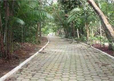 Cafe Regional Da Dora