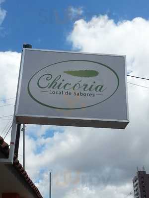 Chicoria Local De Sabores