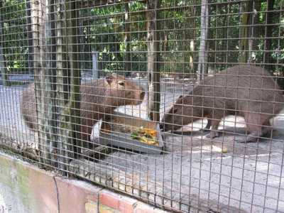 Bar Do Mineirinho - Buffet