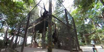 Bar Do Mineirinho - Buffet