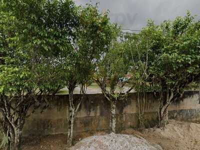 Bar E Lanchonete Toca Do Coelho