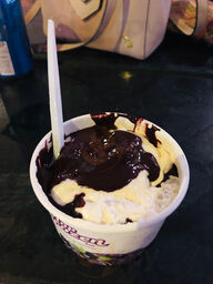 Top Frozen Açaí