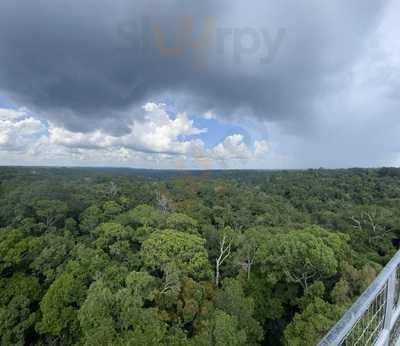 Restaurante Pizzaria Lanchonete Sorriso