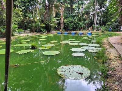 Restaurante Pizzaria Lanchonete Sorriso