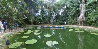 Restaurante Pizzaria Lanchonete Sorriso