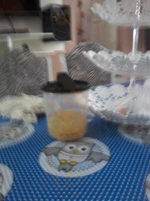 Tulipa's Bar E Lanche