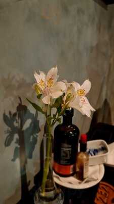 Coco Bambu São Luís