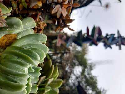 Rio Do Vento Hidroponia