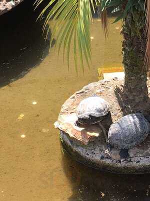 Churrascaria Potência Do Sul