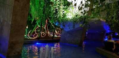 Nipô Sushi - Beiramar