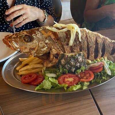 Golfinho Bar E Restaurante