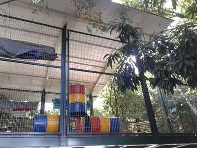 Restaurante E Churrascaria Samauma