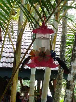 Grun Wald Restaurante E Pousada