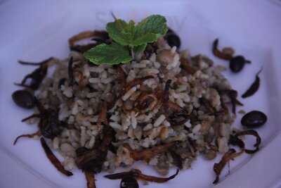 Maktub - Especialidades Árabes