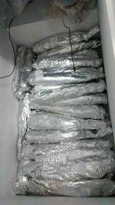 Sirena Frutos Do Mar & Cia