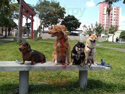 Nami Izakaya Restaurante