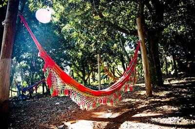 Restaurantes Dá Licença