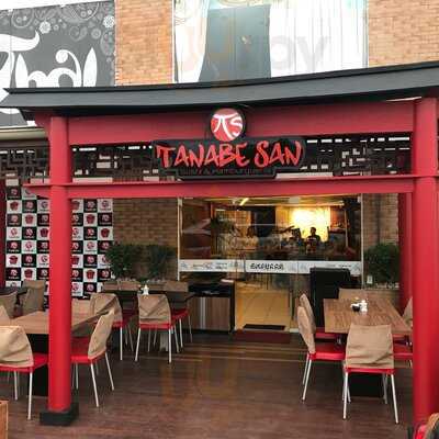 Tanabe San