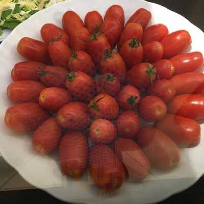 Delirio Tropical - Rio Sul