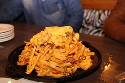 Mundo Animal Lanches