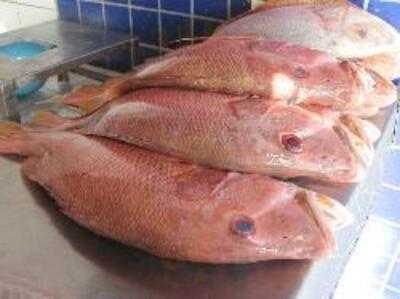 Mercado De Peixes Do Mucuripe