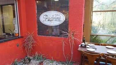 Pedrini Protasio Alves