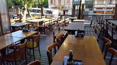 Pedrini Protasio Alves