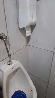 Pedrini Protasio Alves