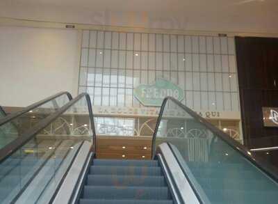 Freddo Gelateria - Balneário Shop