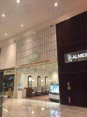 Freddo Gelateria - Balneário Shop