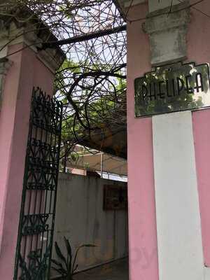 Confeitaria Phelipea