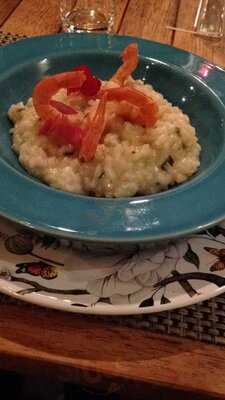 Compotta Comida Casual