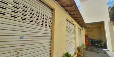 Mandacaru Sabor Do Nordeste