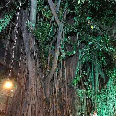 Gasoline Brothers Garage Bar