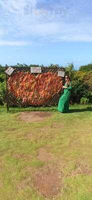 Amô Restaurante E Tapioca