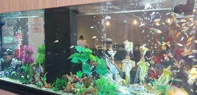 Churraskilo Verde Vale