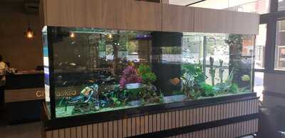 Churraskilo Verde Vale